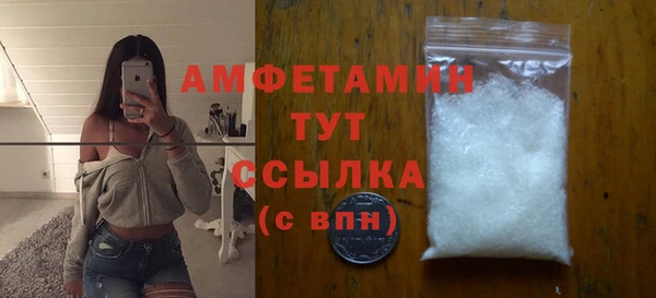 СК Алексин