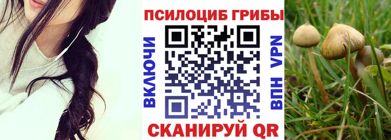 Псилоцибиновые грибы ЛСД  Чусовой 