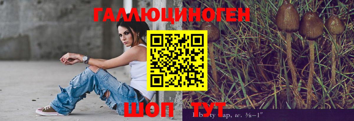Псилоцибиновые грибы MAGIC MUSHROOMS Чусовой